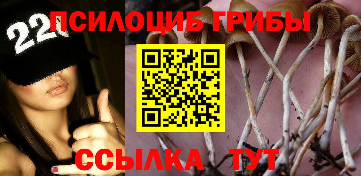 Галлюциногенные грибы Cubensis  Псилоцибиновые грибы GOLDEN TEACHER  Вход с VPN  Новошахтинск 
